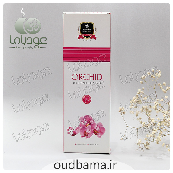 عود دست ساز ارکید ORCHID ( آلوکیک ALAUKIK )