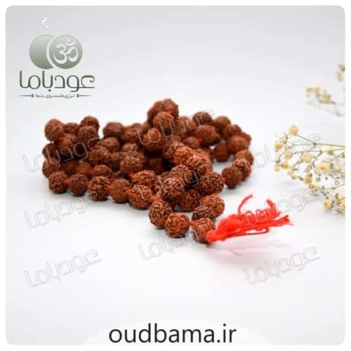 رودراکشا RODRAKSHA
