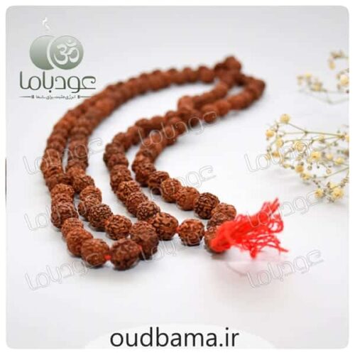 رودراکشا RODRAKSHA