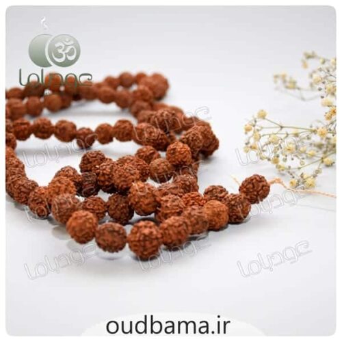 رودراکشا RODRAKSHA