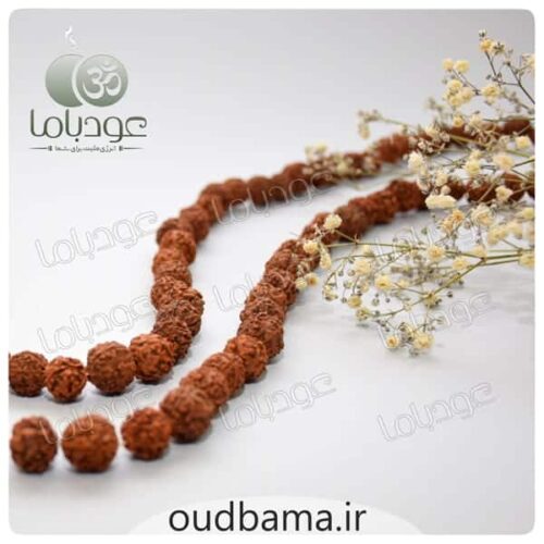 رودراکشا RODRAKSHA