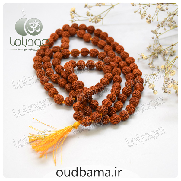 رودراکشا RODRAKSHA