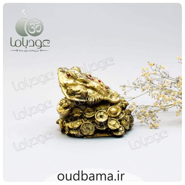 وزغ سه پا قورباغه 3 پا