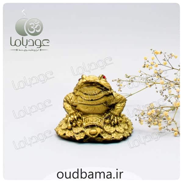 وزغ سه پا قورباغه 3 پا