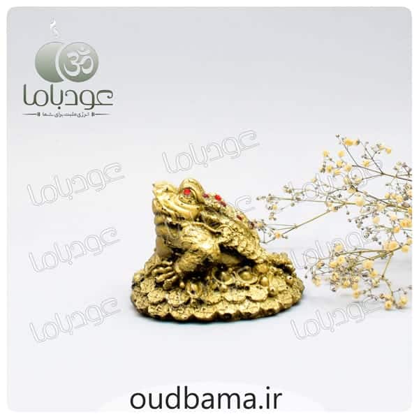 وزغ سه پا قورباغه 3 پا