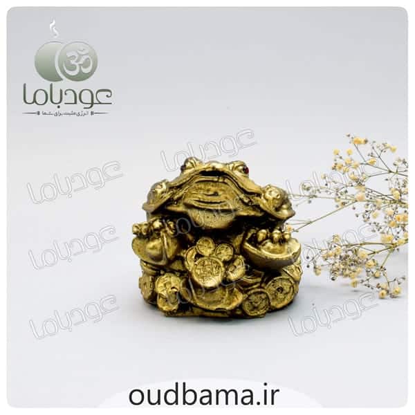 وزغ سه پا قورباغه 3 پا