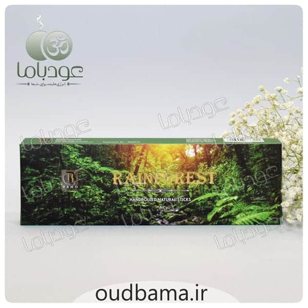 عود دست ساز جنگل بارانی رین فورست RAIN FOREST ( رامو RAMO )