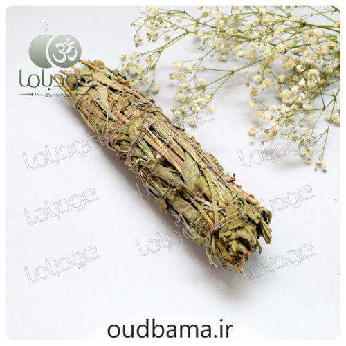 اسماج گیاهی مریم گلی WHITE SAGE