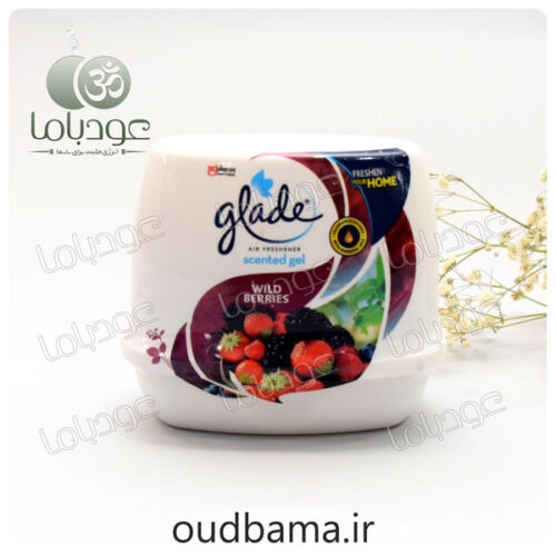 خوشبو کننده هوا شاتوت بری توت وحشی WILD BERRIES ( گلد GLADE)