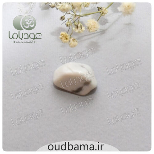 ریز سنگ هائولیت