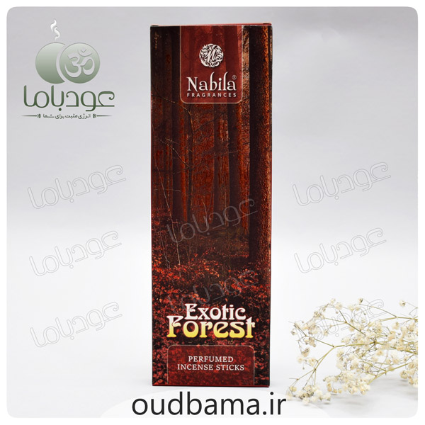 عود دستساز جنگل عجیب اگزوتیک فورست EXOTIC FOREST ( نابیلا NABILA )