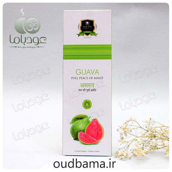 عود دست ساز گواوا GUAVA ( آلوکیک ALAUKIK )