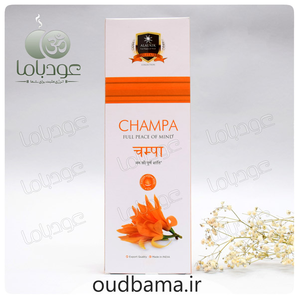 عود دست ساز چامپا CHAMPA ( آلوکیک ALAUKIK )