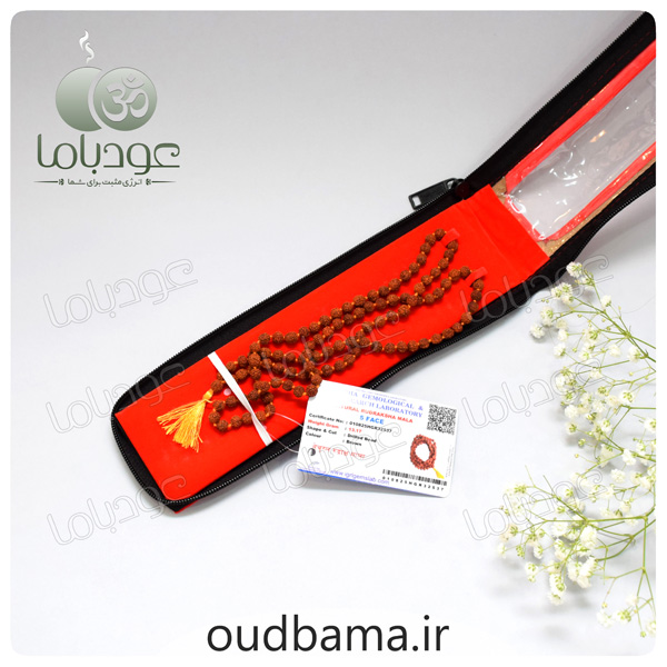 رودراکشا سایز 6 اصل نپال 5 مخی شناسنامه دار