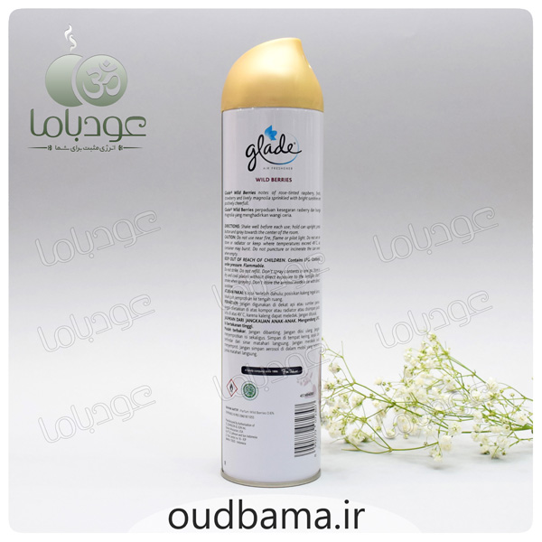 اسپری خوشبوکننده توت های وحشی WILD BERRIES ( گلید GLADE )
