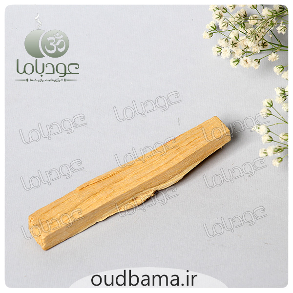 پالوسانتو ( چوب مقدس ) PALO SANTO